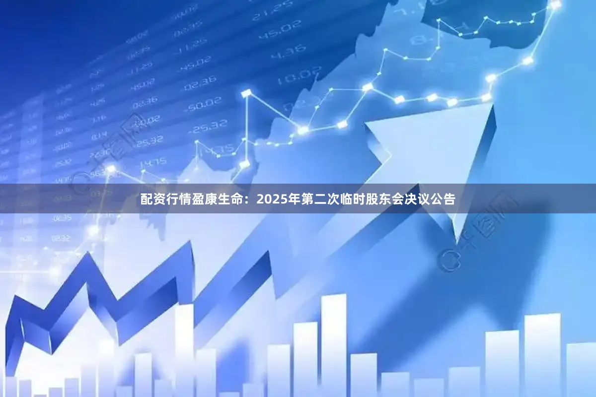 配资行情盈康生命：2025年第二次临时股东会决议公告