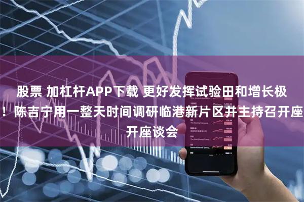 股票 加杠杆APP下载 更好发挥试验田和增长极作用！陈吉宁用一整天时间调研临港新片区并主持召开座谈会