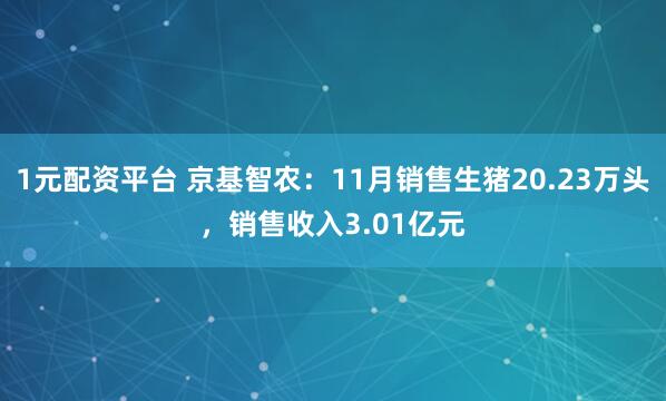 1元配资平台 京基智农：11月销售生猪20.23万头，销售收入3.01亿元